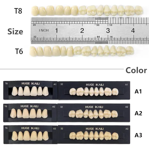 Vista 2 de JMU 28 unids/set Dentales de resina acrílica dentales Dentadura Dientes Sombra A1 T6 resina sintética dientes falsos