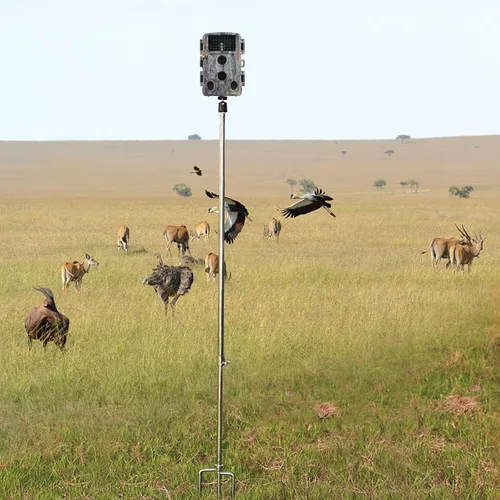 Vista 5 de Game & Trail Camera Mount, Thickened Collapsible Multifunctional Stainless Steel Bracket, 360° Adjustable Universal Screw Connection 1/4''-20 (6mm)