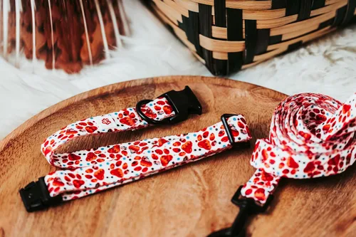 Vista 4 de Western Paw Print Collar (Small)
