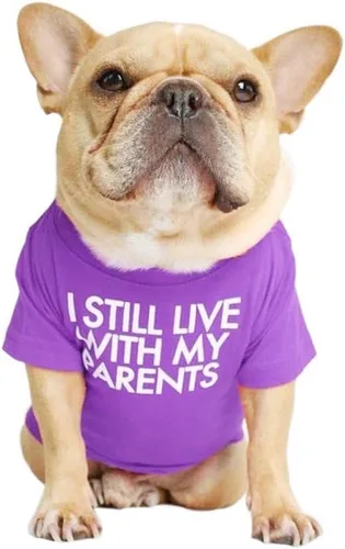 Vista 10 de Camisa para perro de bulldog francés para mascotas, camisetas para cachorros, camiseta de gato, transpirable, elástica, disfraces, talla M
