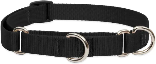 Vista 8 de LupinePet Basics - Collar martingala verde de 3/4 pulgadas, 14-20 pulgadas, para perros medianos y grandes
