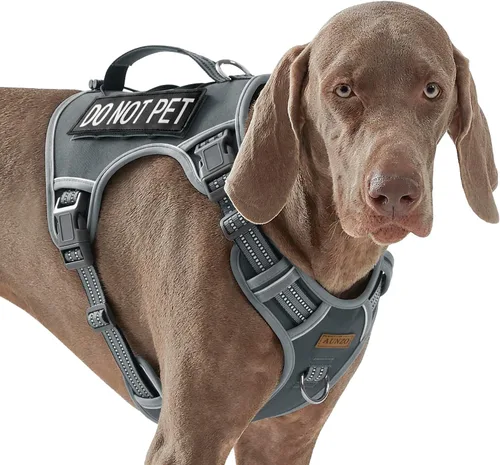 Vista 39 de Arnés para perro sin tirones para perros de tamaño pequeño, chaleco ajustable para caminar fácilmente, material Oxford transpirable, tiras Verde