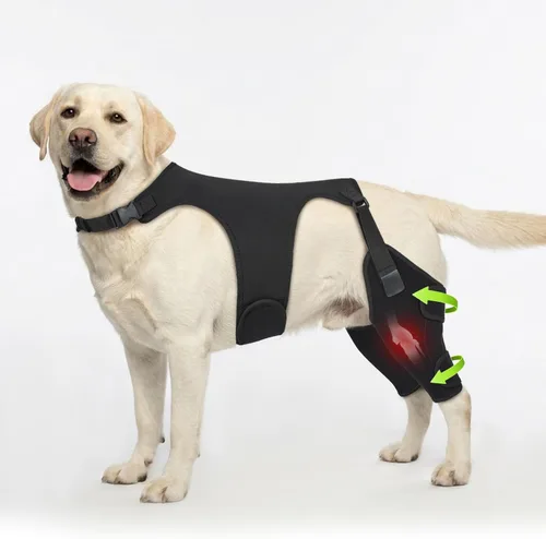 Vista 10 de Rodilleras para perro para soporte de pierna trasera, soporte ACL Negro