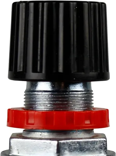 Vista 2 de FC319205000 Rolair Regulador del compresor de aire G 1/4