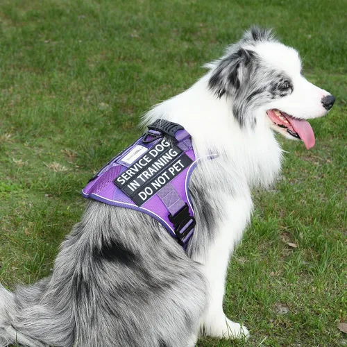 Vista 20 de Chaleco de perro de servicio para perros medianos, arnés de perro de servicio en entrenamiento con parches, chaleco ajustable para perros