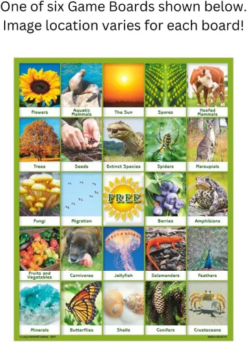 Vista 3 de Nature Bingo Juego educativo - Aprendizaje divertido para niños y familias con tableros de imágenes y tarjetas