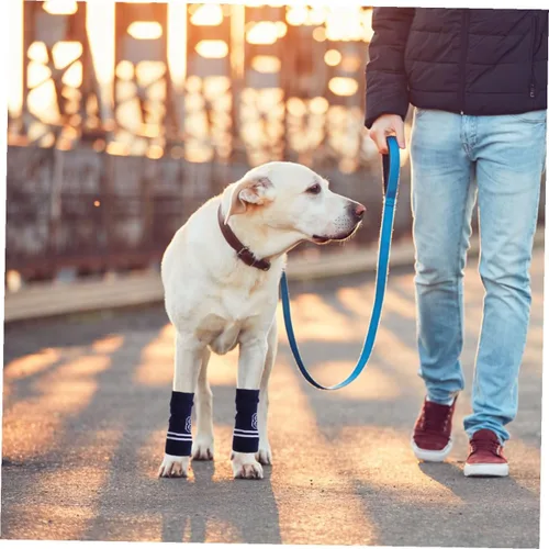 Vista 7 de HANABASS 4 piezas de protectores de codo para mascotas, mangas de punto para perros, diseño de letras y cómodos calentadores de piernas, fáciles