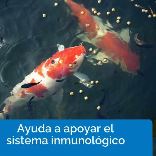 Vista 4 de API POND FISH FOOD Pond Fish Food - Bolsa de 11.5 onzas