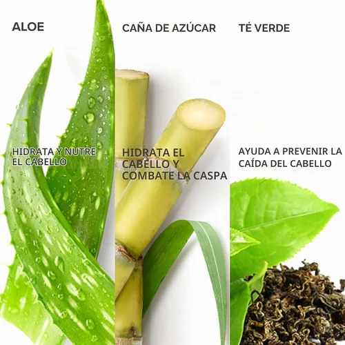 Vista 8 de Shedavi Mascarilla para el cabello - Tratamiento de proteínas con queratina para el cabello seco y dañado