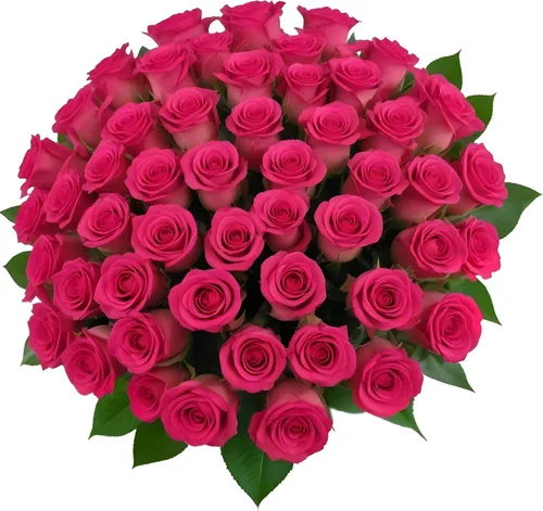 Vista 7 de 18 rosas de arco iris de colores surtidos con jarrón Ramos de Arabella Flores frescas reales para entrega, regalo para cumpleaños, mujeres