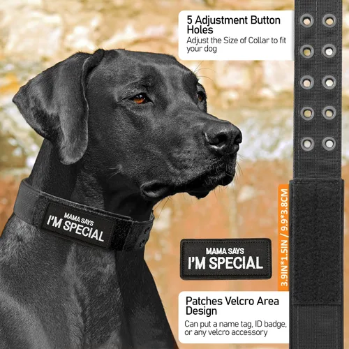 Vista 2 de Collar táctico para perro, collar militar ajustable de nailon para entrenamiento, hebilla de metal resistente, collares tácticos para mediano y Negro