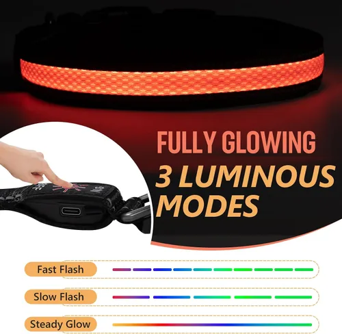 Vista 2 de Collar de perro recargable con luces LED para la noche, collar de perro que brilla en la oscuridad, impermeable, collar ajustable con luz