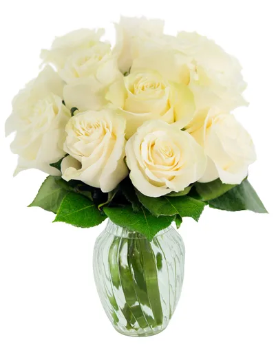 Vista 51 de KaBloom - Rosas arcoíris (media docena)- Flores frescas para cumpleaños, San Valentín y Día de la Madre