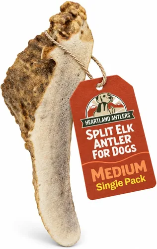 Vista 10 de Heartland - Astas de alce enteras para perros (4-5 pulgadas, paquete de 2) – Masticables dentales de larga duración e inodoros para masticadores