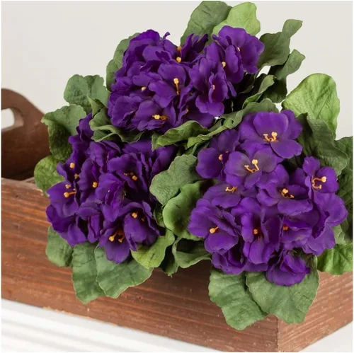 Vista 3 de 6 arbustos de violeta africana morada: tallos artificiales de flores de Polysilk Morado
