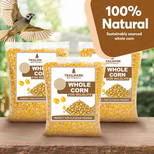 Vista 5 de Maíz entero de 10 libras - Semillas de aves y alimento para vida silvestre premium para patos, ciervos, ardillas, pollos y pavos - Maíz entero