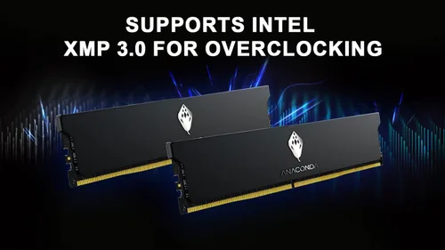 Vista 5 de ANACOMDA Girl ANA Kingsnake DDR5 RAM 32 GB (2 x 16 GB) 6400 MHz CL36 288 pines memoria de escritorio con disipador de calor, fabricado en Taiwán