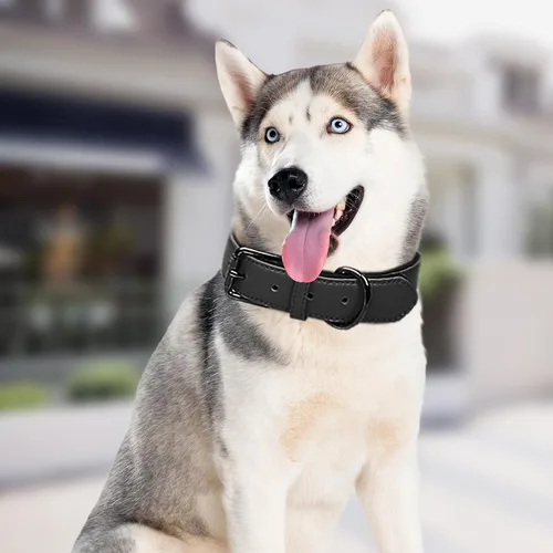 Vista 2 de Lmlpt Collar de cuero para perro, suave, acolchado, resistente, resistente, cómodo collar básico para mascotas con hebilla de metal ajustable a