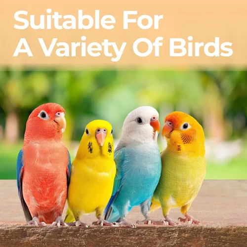 Vista 6 de Parque infantil para pájaros, perca de madera natural, soporte de juego de pájaros para el interior, soporte de loro de 4 capas para pájaros