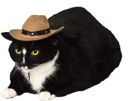 Vista 6 de Disfraz de sombrero vaquero Rubies para mascotas, M / L, Marrón