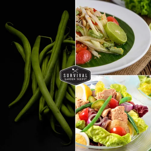 Vista 5 de Semillas de frijol arbusto para plantar, variedad de judías verdes proveedoras, variedad de jardín sin cuerdas, altos rendimientos, ideal para camas