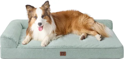 Vista 36 de EHEYCIGA - Cama ortopédica para perros de tamaño mediano, cama de espuma viscoelástica para perros, color beige Small Dog Sofa with Washable