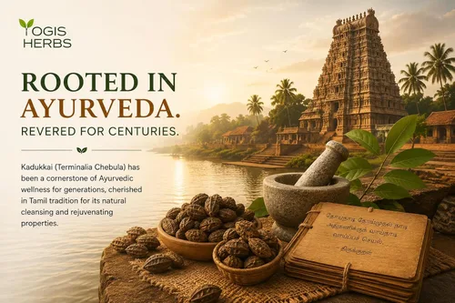 Vista 5 de YOGIS HERBS Kadukkai Powder - Haritaki dessembrado/Terminalia chebula/Harad — Polvo tradicional de hierbas tamil para rutinas diarias digestivas