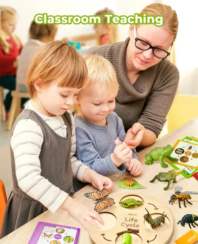 Vista 4 de JoyCat Juguetes Educativos de Aprendizaje del Ciclo de Vida, Kit de Oruga de Insecto a Mariposa, Mariquita, Abeja, Kit de Renacuajo a Rana, Juguetes