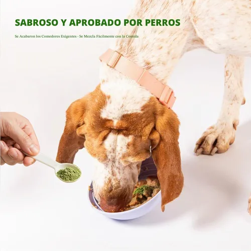 Vista 4 de Polvo Limpiador de Dientes para Perros, Polvo Dental para Perros para Limpieza de Dientes y Refresco de Aliento para Perros con Probiótico