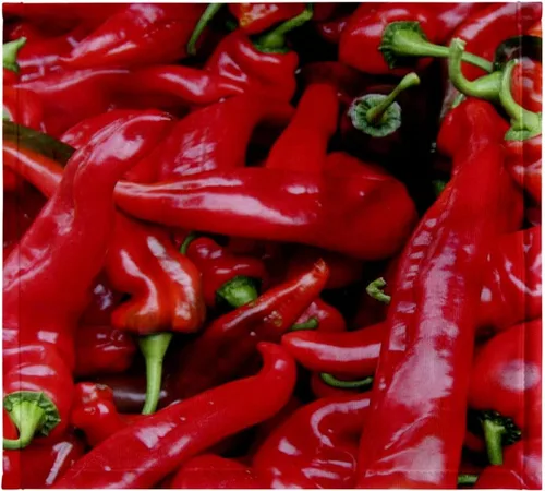 Vista 7 de 3dRose Pimientos rojos picantes - Chile, chile, chile, chile, chiles,... - Toallas (twl-46856-1)