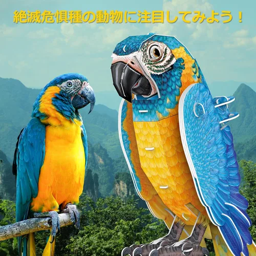 Vista 6 de ASSYME DS1097h Macaw Papercraft, No Glue Tools, Elementary School Students, Craft Kit, Easy for Ages 8 and Up