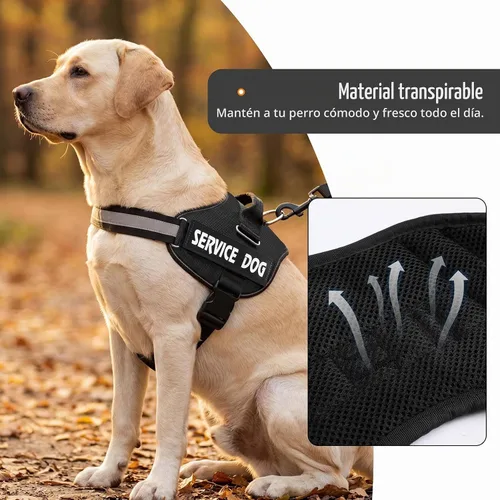 Vista 3 de MUMUPET Arnés para perro de servicio, chaleco reflectante y antitirones Negro