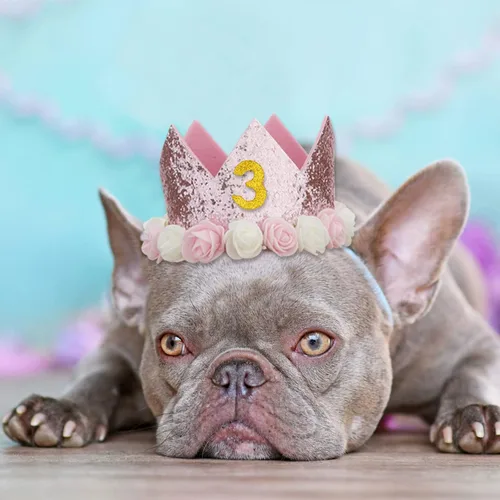 Vista 5 de CIEHER Suministros para fiesta de cumpleaños para perros – Falda tutú rosa, pajarita y números para perro