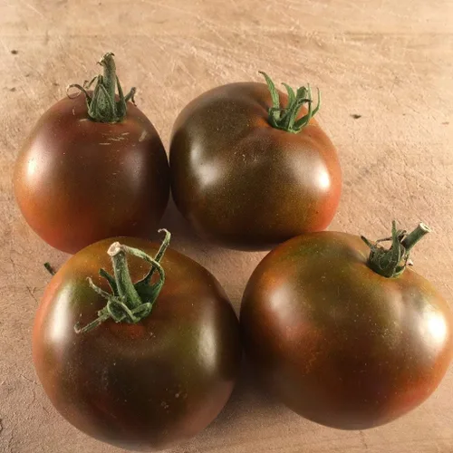 Vista 2 de Semillas Black Prince Tomate Indeterminado Variedad Rara Verdadero Tomate Siberiano Sin OGM Heirloom