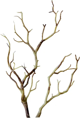 Vista 9 de IMIKEYA 3 ramas de árbol secas de cuernos artificiales, ramitas decorativas secas artificiales, arte de bruja, rama de cuernos de bruja, plantas