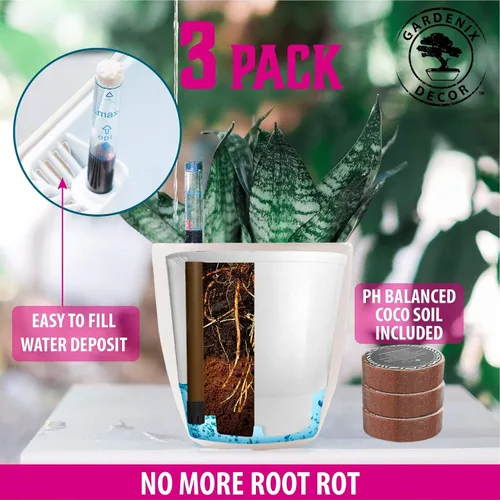 Vista 9 de GARDENIX DECOR Macetas de Riego Automático para Plantas de Interior, Pack de 3 - Maceta con Indicador de Nivel de Agua para Plantas, Herramienta