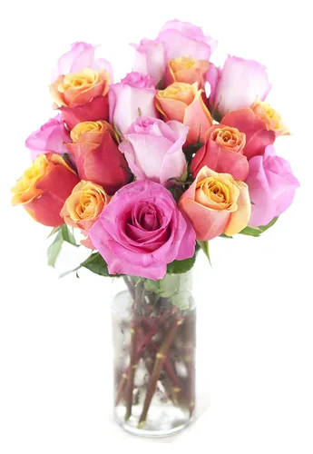 Vista 35 de KaBloom - Rosas arcoíris (media docena)- Flores frescas para cumpleaños, San Valentín y Día de la Madre