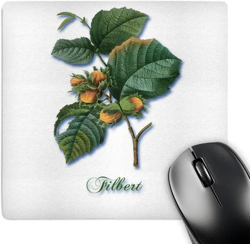 Vista 9 de Alfombrilla de mouse con acabado mate 3D Rose "Fairy Forest Garden" - 8 x 8 pulgadas - mp_202489_1