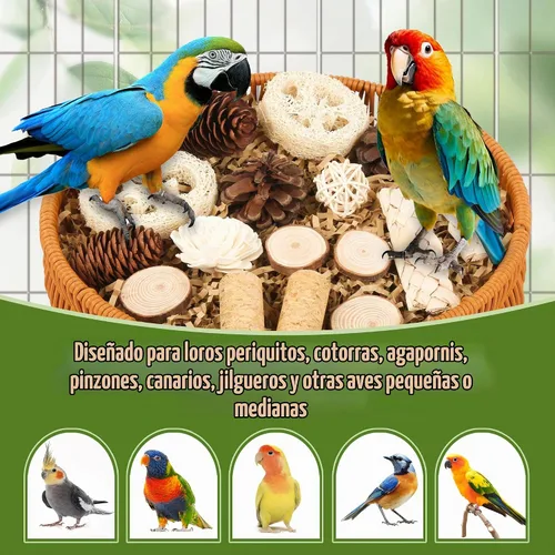 Vista 6 de Juguetes para pájaros Juguetes naturales para aves que forrajan