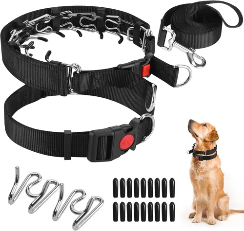 Vista 16 de Collar de entrenamiento de puntas con puntas cómodas y hebilla de cierre rápido – Collar de pellizco para perro con cubierta de nailon