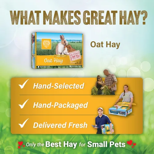 Vista 6 de Small Pet Select Alimento para mascotas con heno de avena, 10 libras.