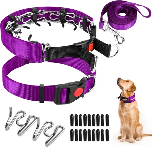 Vista 24 de Collar de entrenamiento de puntas con puntas cómodas y hebilla de cierre rápido – Collar de pellizco para perro con cubierta de nailon