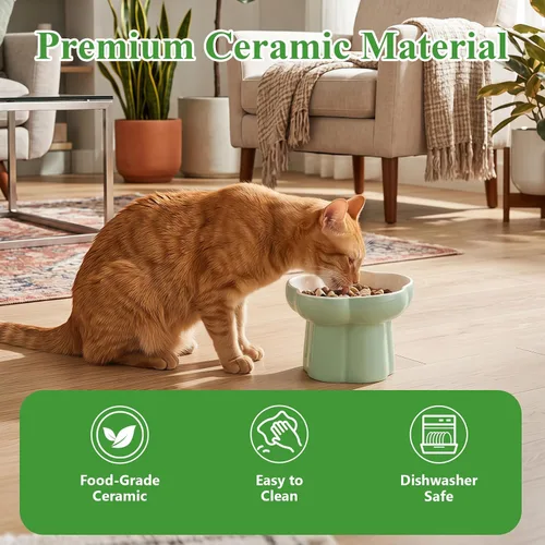 Vista 5 de Tiiyee Cuenco elevado de cerámica del gato del alimentador lento, plato