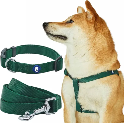 Vista 9 de Blueberry Pet Essentials - Juego de arnés de correa para perro a juego en naranja bermellón, collar de nailon clásico ajustable de color sólido