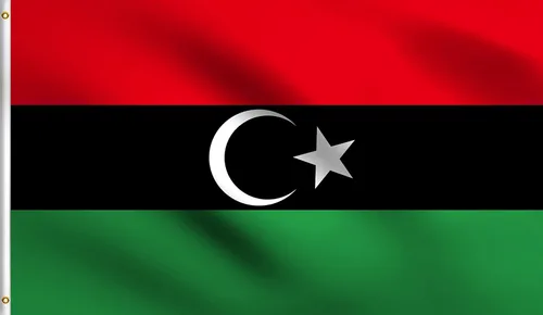 Vista 113 de DMSE - Bandera nacional beninesa beninesa de la República de África Occidental, 2 x 3 pies, 100 % poliéster, 100 % poliéster, resistente a los rayos