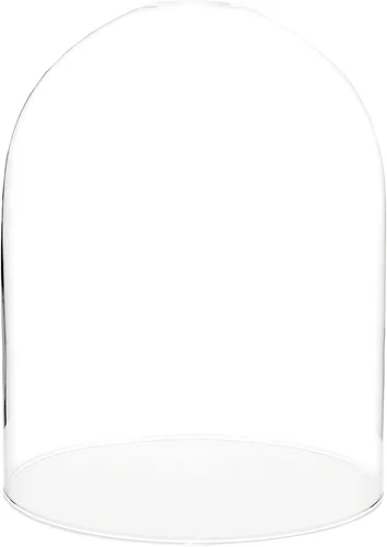 Vista 7 de Plymor 11.75" x 15" Pantalla de cristal Cúpula Cloche (base de chapa de madera negra)