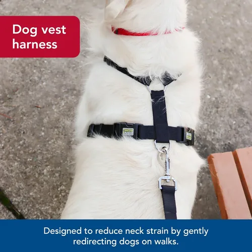 Vista 6 de Coastal Pet Walk Right - Arnés acolchado para perro con conexión frontal y sin tirones, ajustable y cómodo, ajuste para razas pequeñas y grandes