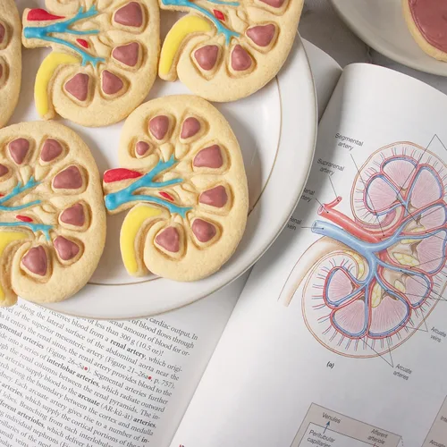 Vista 4 de Cortador interno de galletas de riñón, 1 pieza - Bakerlogy
