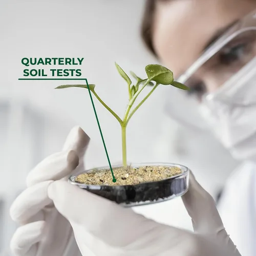 Vista 3 de BuildASoil Fertilizante para huerto de vegetales y alimentos orgánicos para plantas Fertilizante orgánico hecho a mano con 15 ingredientes