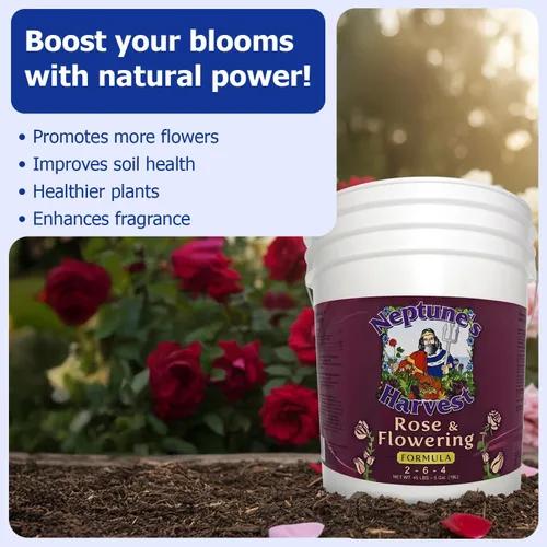 Vista 5 de Neptune's Harvest Fertilizante de rosas y flores (2-6-4) - Cubo de 5 galones - Alimento líquido orgánico para flores vibrantes y crecimiento
